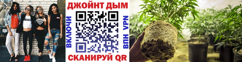 как найти закладки  Мостовской  Канабис SATIVA & INDICA 